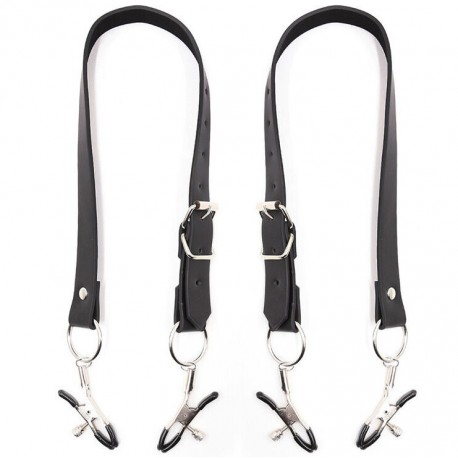Paire d'écarteur de lèvres vaginales pour l'inspection BDSM