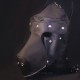 Cagoule de chien