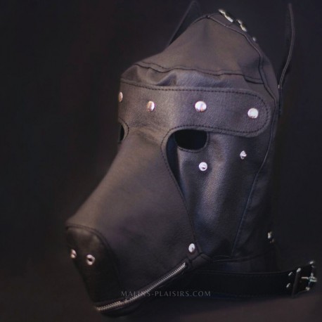 Cagoule de chien