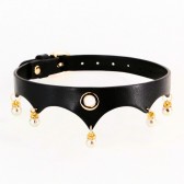 Collier d'appartenance de luxe - Accessoires BDSM Malins-Plaisirs