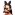 Harnais mors Pony Play - Accessoires BDSM Malins-Plaisirs