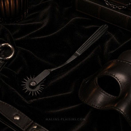 Roulette de Wartenberg noire en acier inoxydable | Malins-Plaisirs BDSM