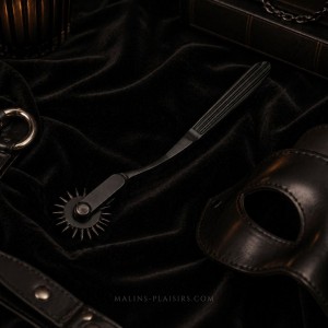 Roulette de Wartenberg noire en acier inoxydable | Malins-Plaisirs BDSM
